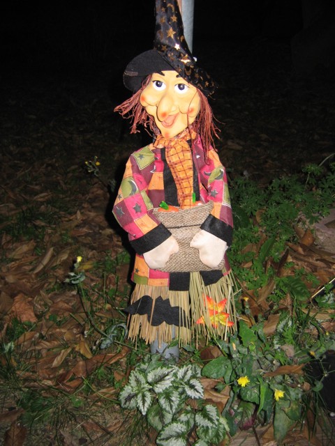 Bild 006.jpg